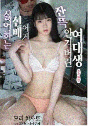 次元胶囊软件封面